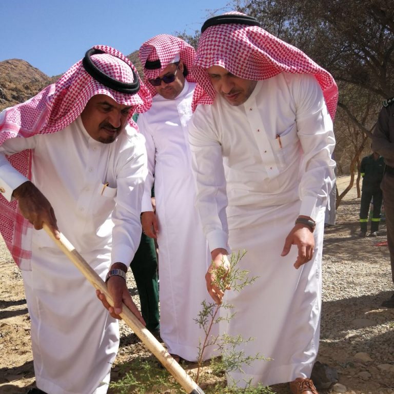 Image result for ‫محافظ المندق يدشن انطلاقة أسبوع الشجرة‬‎
