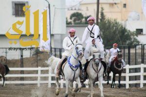 العمرة يشهد افتتاح مهرجان صهيل الأصايل ضمن “أبها يجمعنا”