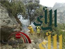 الدفاع المدني بتنومه يخمد  حريق باشجار وشجيرات بجبل منعا ‎