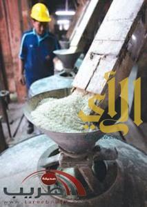 صحة وجمال                          انخفاض صادرات الأرز التايلاندي إلى 58 %