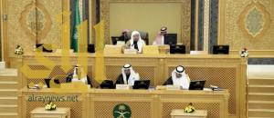 “الشوري” يصوت على مشروع نظام هيئة الجمعيات والمؤسسات الأهلية