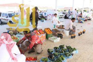 بلدية الحرجة تكثف حملاتها التفتيشية في رمضان