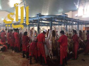 أمانة الشرقية: ٢٤٥٨٧ أضحية خلال ثلاث ايام عيد الاضحى المبارك