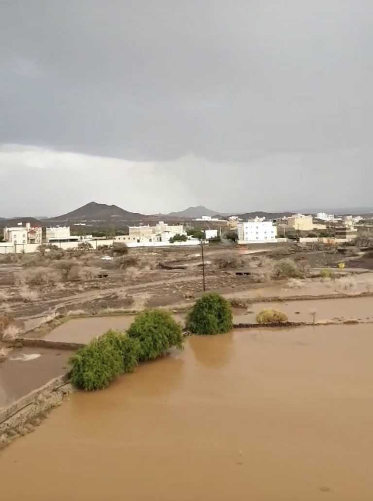 رؤية الامطار والسيول في المنام