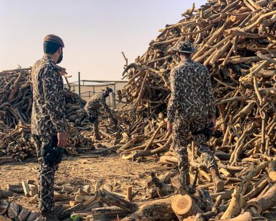 القوات الخاصة للأمن البيئي تضبط 30 طنًا من الحطب المحلي المعدّ للبيع في مدينة الرياض