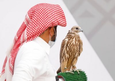 مهرجان #الملك_عبدالعزيز للصقور .. تأصيل للتراث وتعزيز للهوية الوطنية