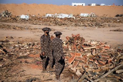 بالصور القوات الخاصة للأمن البيئي تضبط 90 طناً من الحطب المحلي المعد للبيع في مدينة الرياض