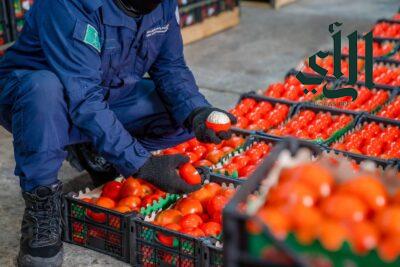 إحباط محاولة تهريب أكثر من 2 مليون حبة كبتاجون مُخبأة في إرسالية “طماطم ورمان”