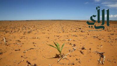 اليوم العالمي للتصحر والجفاف تعرف على عنوانه وشعاره في 2023