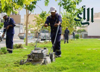 أمانة الشرقية: زراعة 500 ألف م2مسطحات خضراء و 538 شجرة في مدينة الظهران خلال النصف الأول من العام