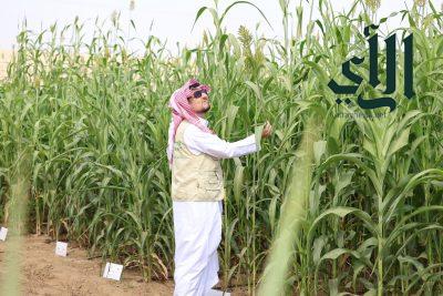 “ريف السعودية” يدعم مزارعي المحاصيل البعلية بأكثر من (36) مليون ريال