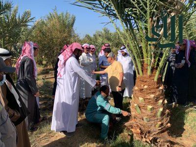 وقاء عسير” يقيم ورشة عمل لتعريف طلاب المدارس بخطورة سوسة النخيل الحمراء في بيشة