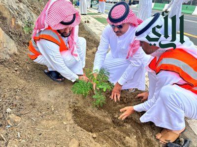 بلدية فيفاء تشارك في مبادرة السعودية الخضراء