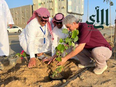أمانة جدة تطلق مبادرة “ساحل أخضر” بمحافظة الليث
