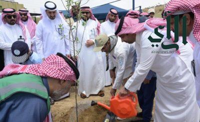 بيئة الباحة تحتفي بيوم  مبادرة السعودية الخضراء.