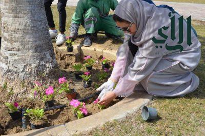 أمانة الشرقية تطلق خطة شاملة لتشجير وتجميل طرق وأحياء الدمام في رمضان المبارك