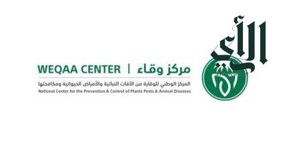السعودية تنظم ورشة للحد من فوران حشرة الجندب الأسود.. الإثنين المقبل