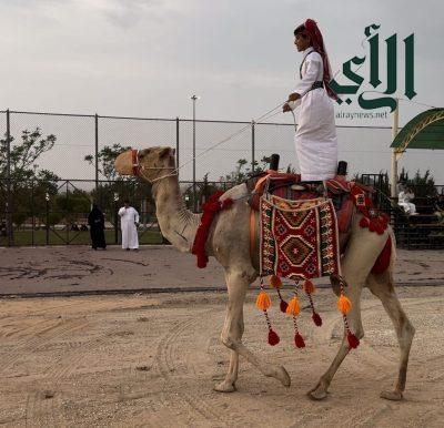 الفعاليات تجذب زوار “صيف ليالي الطائف”