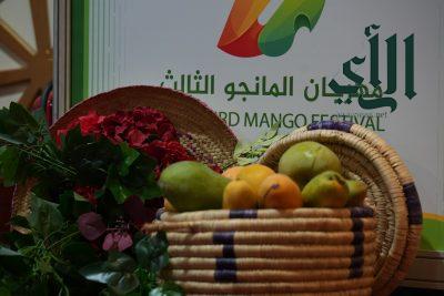 مهرجان المانجو  في أملج يختتم فعالياته بأكثر من 13 الف زائر