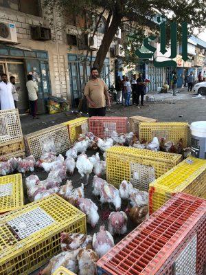 حملة ميدانية على الباعة الجائلين المخالفين في غرب الدمام تسفر عن مصادرة 168 طنًا من المتروكات