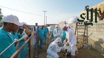 وقاء جازان ينفذ ورشة عمل عن تجربة المحاكاة في تفشي مرض حمى الوادي المتصدع