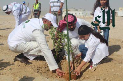 انطلاق فعاليات ”موسم التشجير السنوي 2024“ ، تحت شعار ”نزرعها لمستقبلنا“