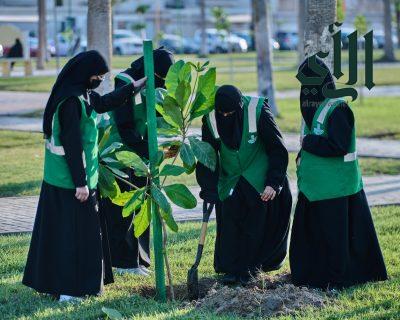 بلدية القطيف إطلاق مبادرة تشجير لزراعة اللوز في الحدائق