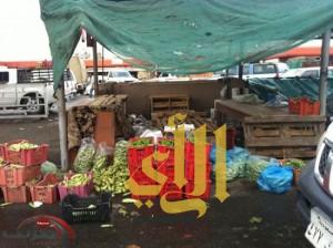 لجنة السعودة بمحافظة خميس مشيط تقوم بحملات مفاجئة لسوق الخضار وتقبض على 27 مخالفا