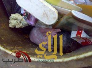 عامل نظافة يعثر على ” لقيطة ” في برميل نفايات ثالث أيام العيد بالأحساء – صورة