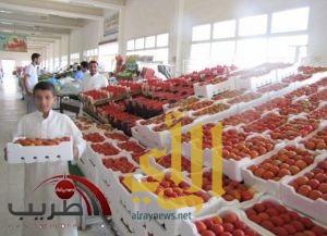 أسعار الطماطم تشهد انخفاضاً تدريجياً في عدد من الأسواق