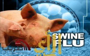 علماء:احتمال تحور فيروس إنفلونزا الخنازير