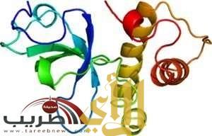 دراسة: اكتشاف علاج جديد لسرطان الطفولة