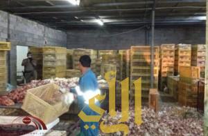 إتلاف 10 ألاف دجاجة فاسدة بمسلخ مخالف في جدة