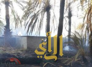 إخماد حريق 50 نخلة في نجران