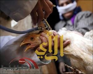 لقاح جديد ضد أنفلونزا الطيور “H7N9”