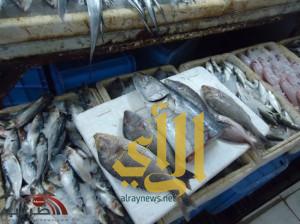 أمانة الأحساء تصادر 366 كيلوجرام من الأسماك واللحوم الفاسدة