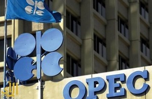 أوبك تتوقع عودة سعر النفط إلى 80 دولارا للبرميل بحلول 2020