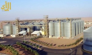 صوامع الغلال ترسي 740 ألف طن من القمح المستورد