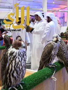 إقبال كثيف في انطلاق معرض الصقور السعودي .. وأسلحة الصيد تتصدر الاهتمام بأكثر من 30 ألف زائر