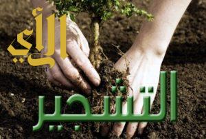 مبادرة لزراعة 1000 شجرة في جارودية القطيف