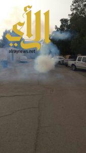 بلدية القيصومة تقوم بحملة رش المبيدات الحشرية في أحياء المدينة